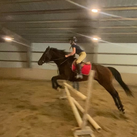 Meet your Posher, Sienna - Picture 1 of 1